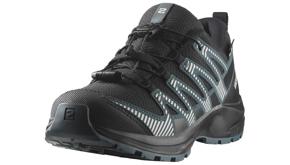 Salomon XA Pro V8 Waterproof Kids Hiking Shoes Review